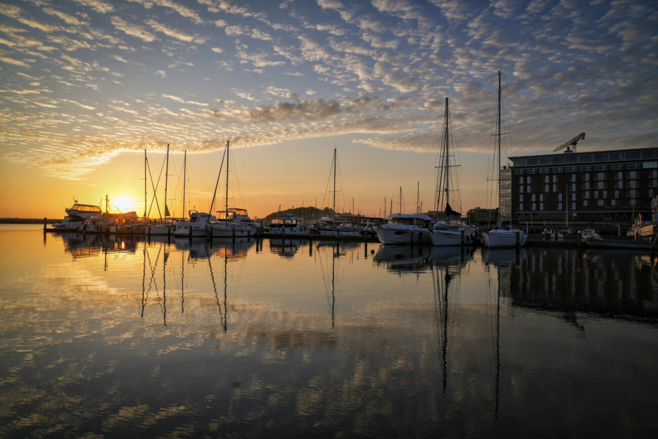 Rechte Hr. Sasse-Roesch